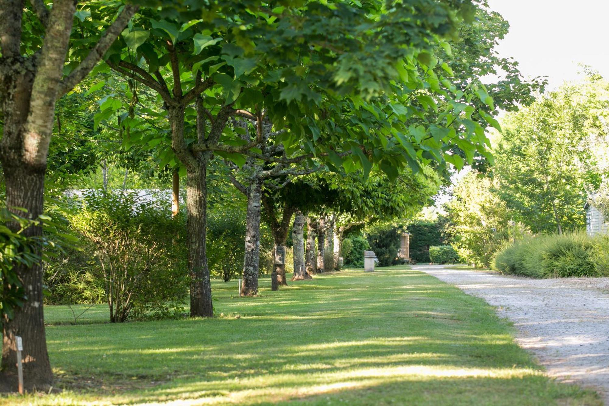 Camping La Ferme De Perdigat Limeuil Exteriör bild