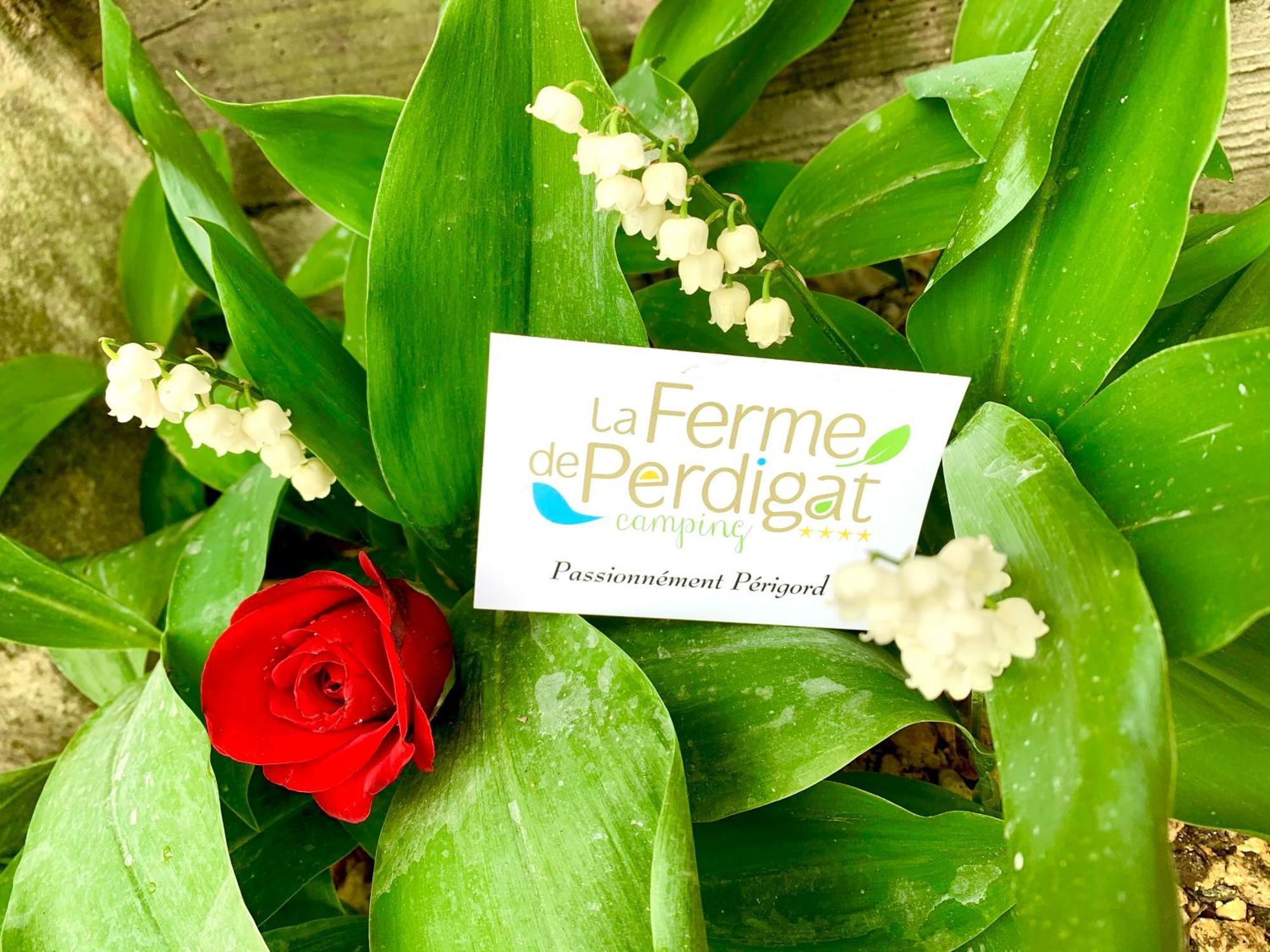 Camping La Ferme De Perdigat Limeuil Exteriör bild