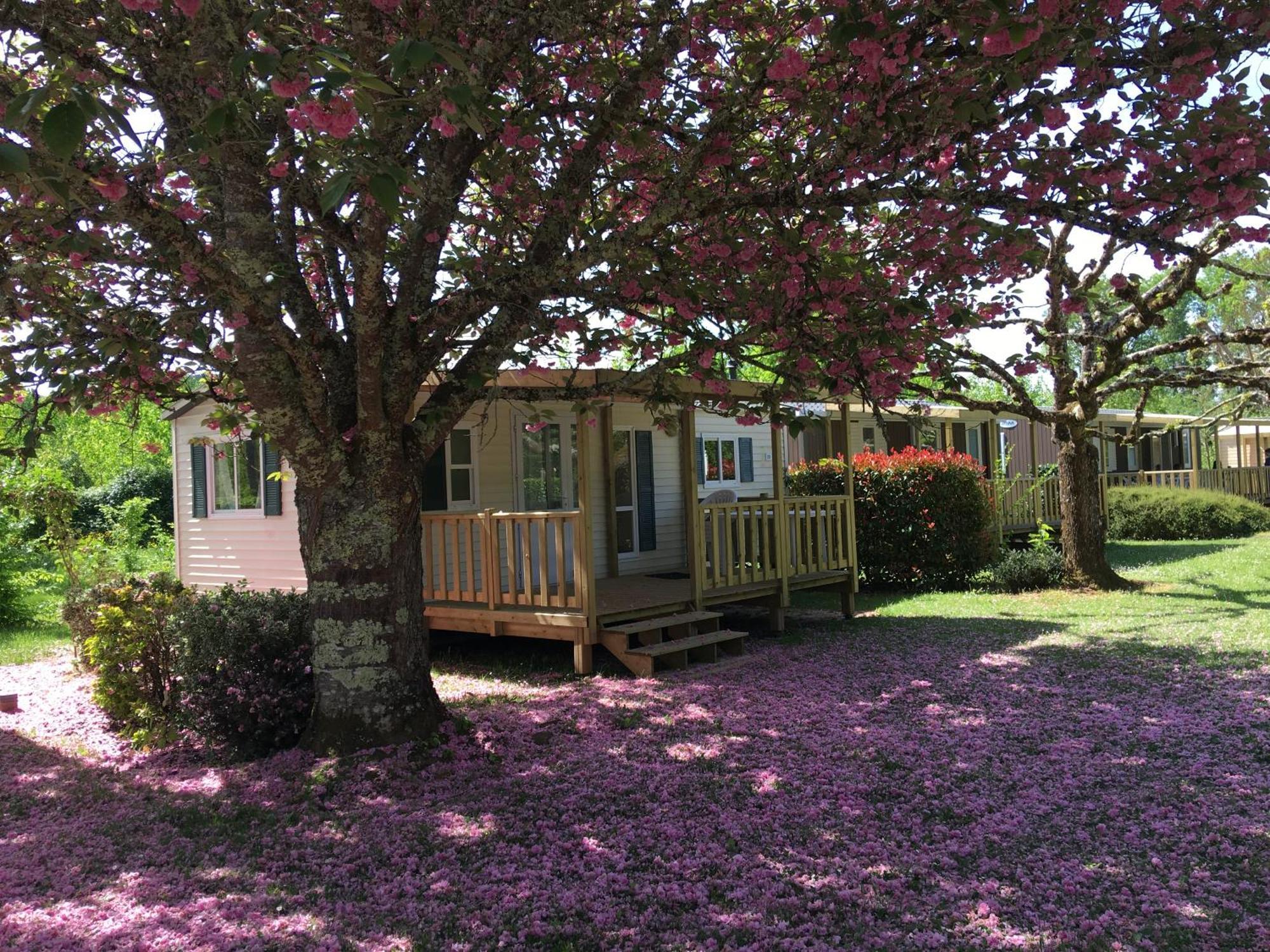 Camping La Ferme De Perdigat Limeuil Exteriör bild